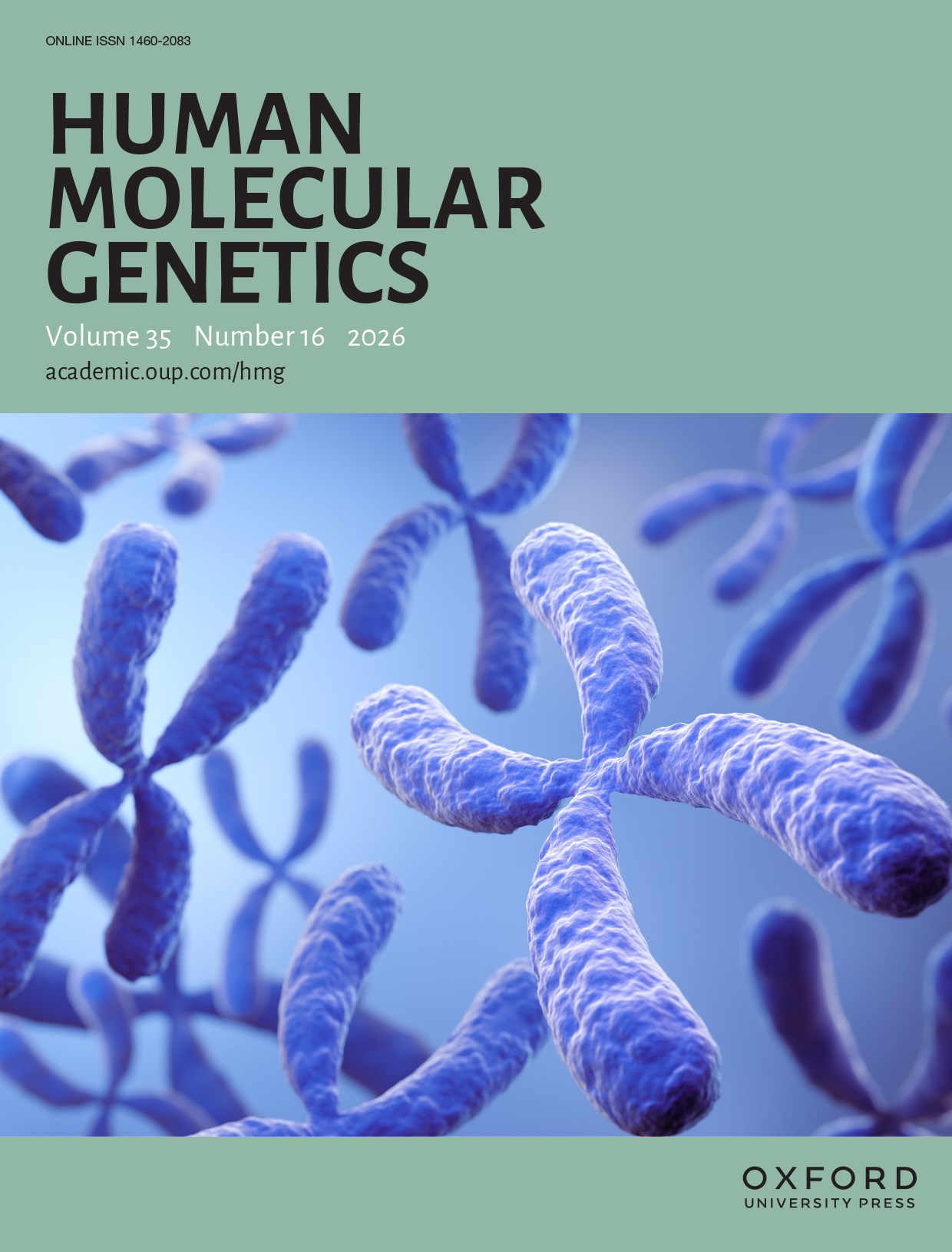 Psychosocial adversity and socioeconomic position during childhood and epigenetic age: analysis of two prospective cohort studies